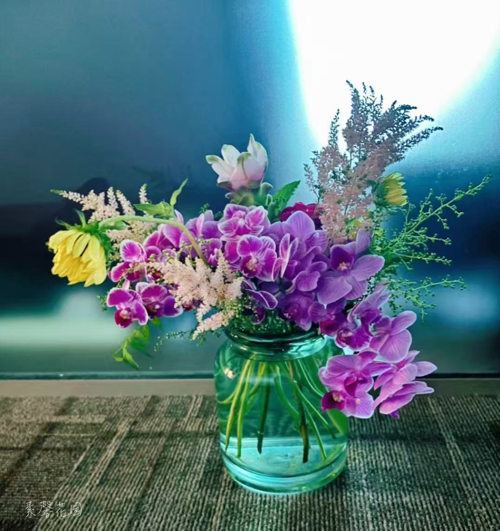 每周混搭一花