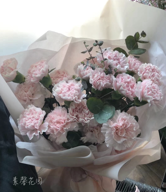 康乃馨小花束